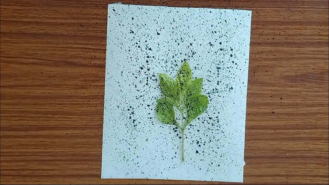 spray painting with paint brush ll spray painting kaise banaye YouTube