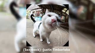 “Sexyback” (sped up) -Justin Timberlake Resimi