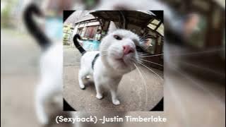 “Sexyback” (sped up) -Justin Timberlake