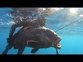 Ψαροντούφεκο🏆ΡΟΦΟΣ 27KG-Spearfishing Sakis Tsonis Dusky Grouper 27KG