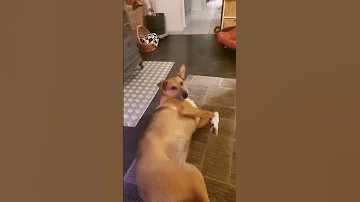 She S A Sleepyhead 