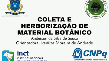 Como deve ser feita a coleta para identificação botânica?