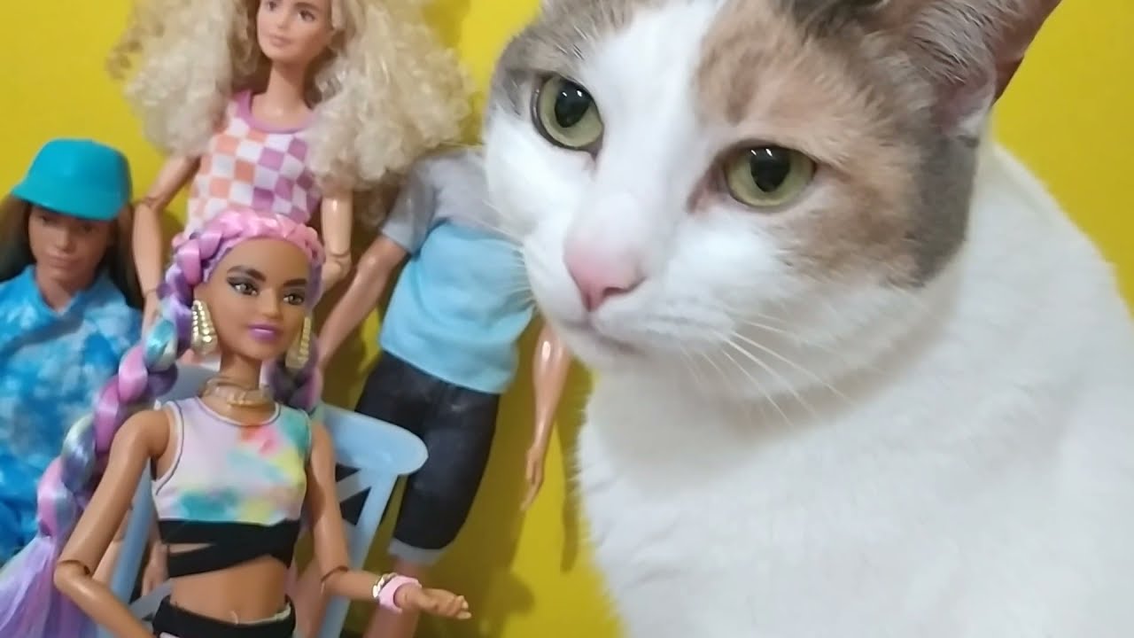 Barbie Travel Ken Fwv15 Barbie Ken Bebek Barbie Seyahatte Serisi 103 Youtube