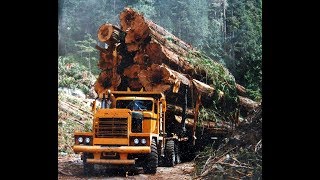 Best Logging Truck Drivers Skills| Heavy Machines | Big Trucks 2021