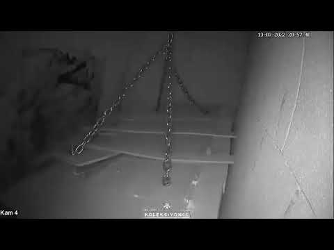 مكبس بشري في سجن صيدنايا من أحد هواتف الشبيحة