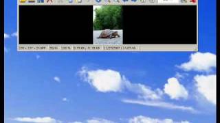 Learn how to use IrfanView and explore its features