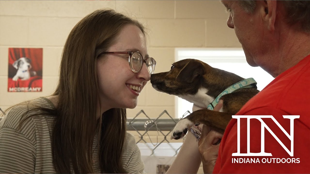 How One Idea Saved Hundreds of Animals | ARF of Muncie