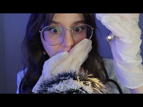 ASMR | Tirando muita caspa do seu cabelo (fast)
