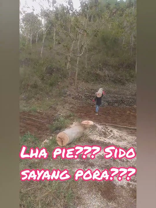 story wa 30 detik ojo dibandingke
