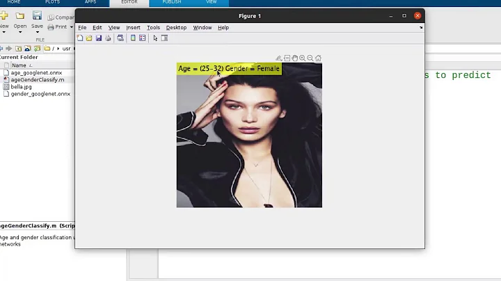 Age and Gender classification using Deep Learning in MATLAB