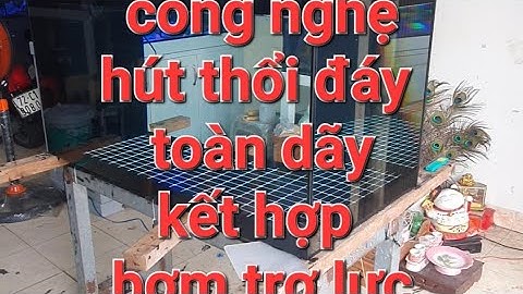 hồ lọc vách nghệ./ bottom filter aquarium