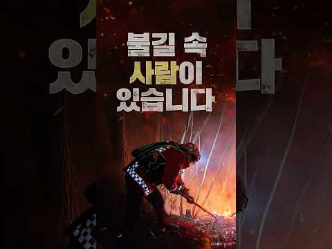 작은 부주의, 고통과 눈물로 돌아옵니다 #산불예방 #동참해주세요