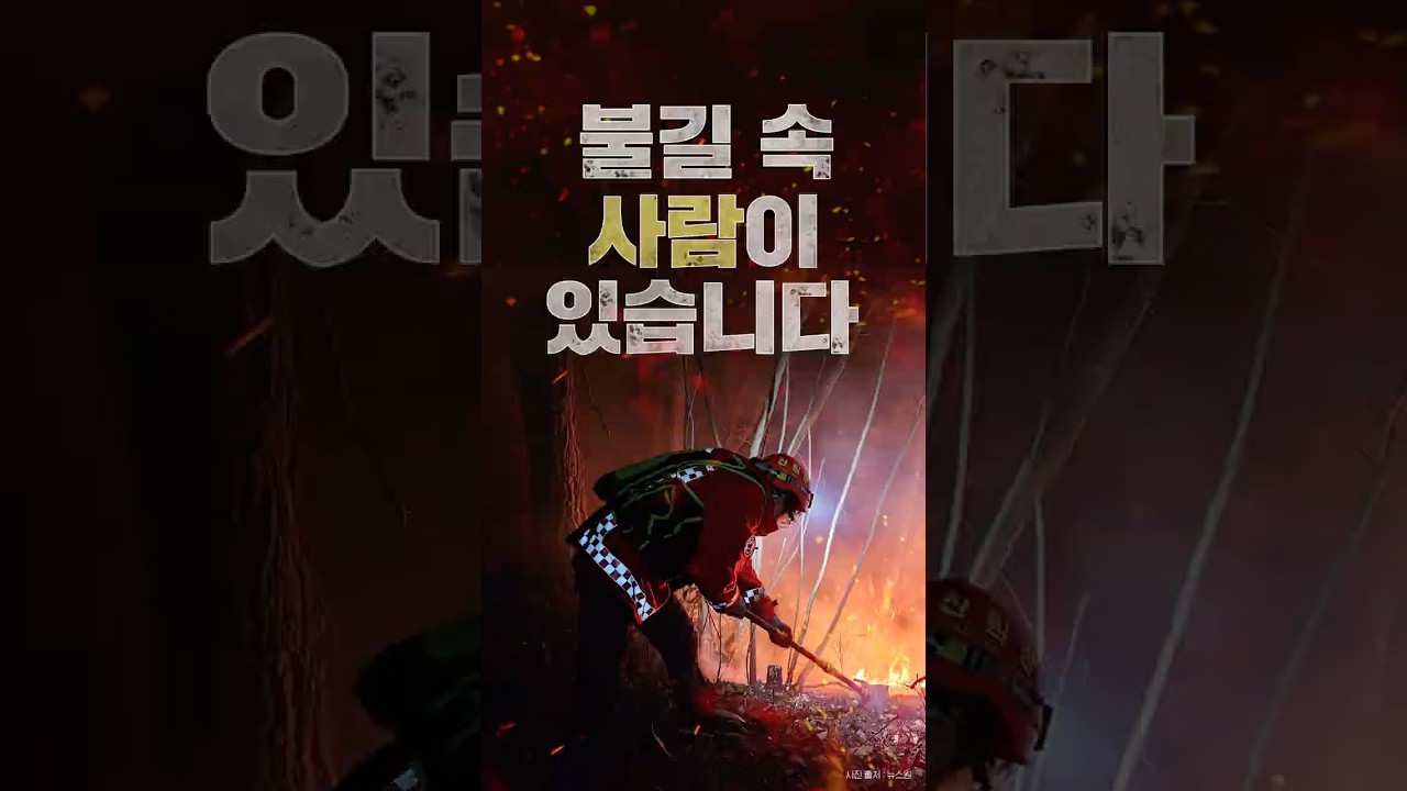 작은 부주의, 고통과 눈물로 돌아옵니다 #산불예방 #동참해주세요