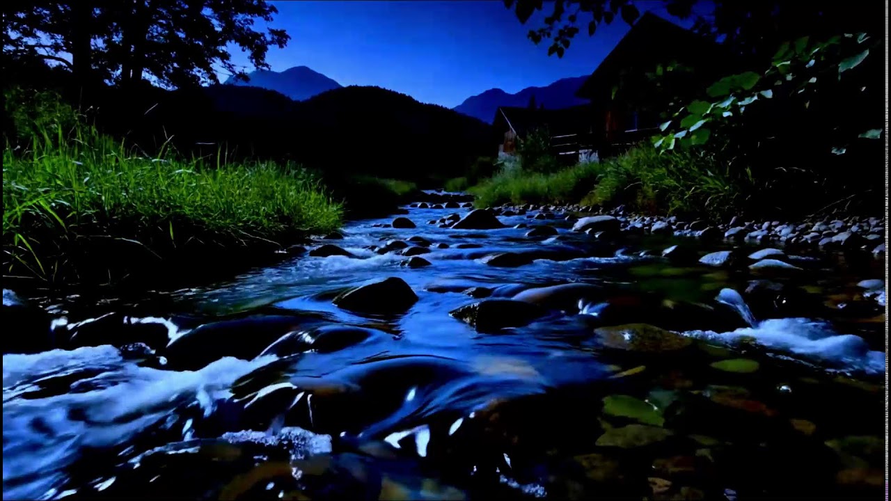 Night River Ambience 🌙 10 Hours of Crickets & Flowing Water | Deep Sleep White Noise for Insomnia