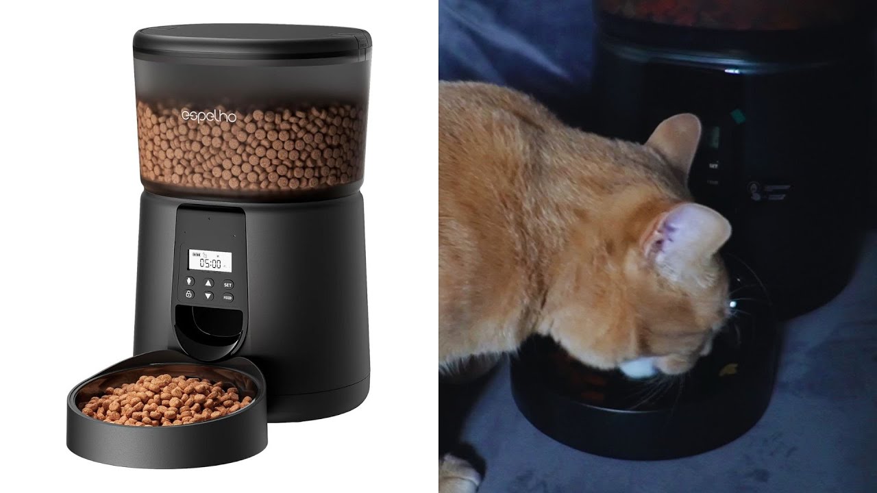 Everything To Know About The Espelho Automatic Cat Feeder YouTube