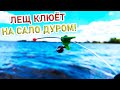 РЫБАЛКА НА ЛЕЩА!ЛОВЛЯ ЛЕЩА НА САЛО С ЛОДКИ!рыбалка на кольцо(на банки)2021