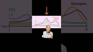 How Do Contraceptive Pills Work? #shorts