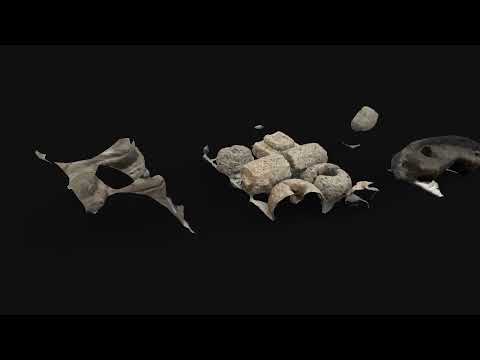 Metascan Srithep2