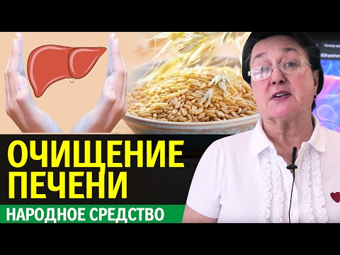 ОЧИЩЕНИЕ ПЕЧЕНИ || народное средство