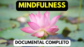 🍃 MINDFULNESS: El Arte de Vivir el Presente y Calmar tu Mente | Documental Completo
