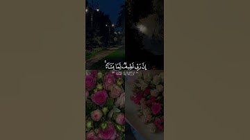 محمد هشام | إِنَّ رَبِّي لَطِيفٌ لِّمَا يَشَاءُ   | سورة يوسف الآية ١٠٠
