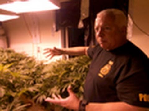Busting a Grow House | Border Wars