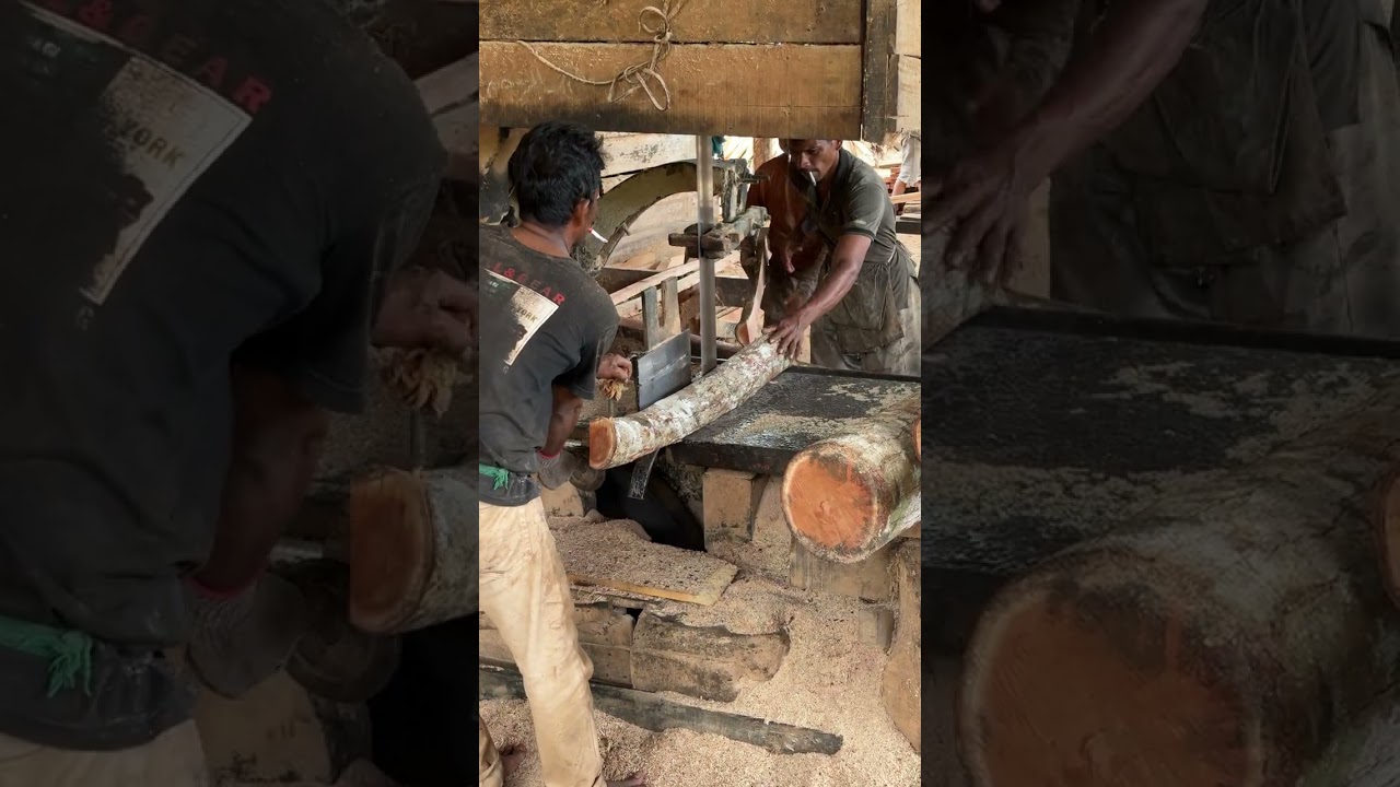 How to Reduce Wood Dust and Waste When Using a Sawmill Machine