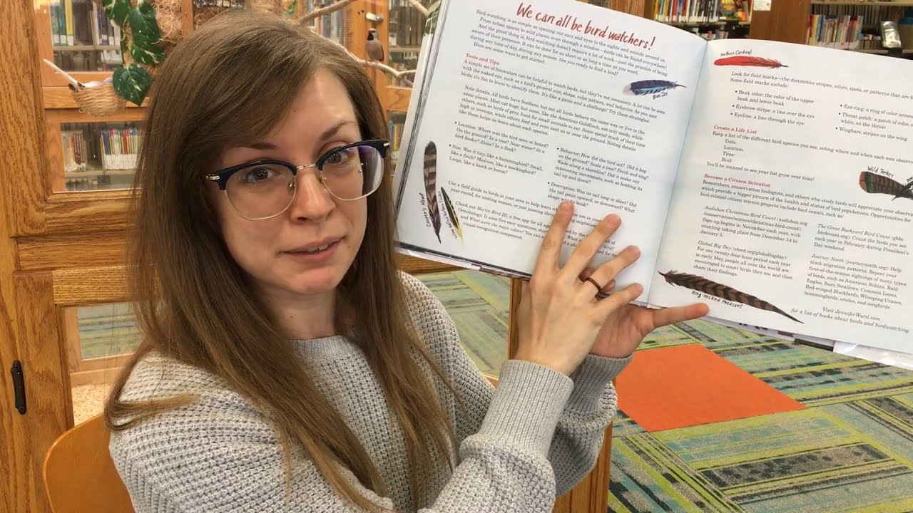 How to Find a Bird Story Time Short YouTube