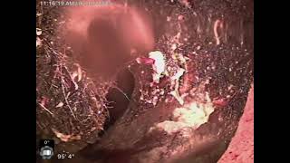 Sewer Inspection Video