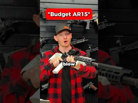 BEST Budget Rifle? #shorts