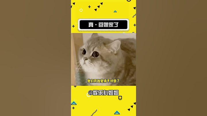 这没开玩笑，这是真回娘家！ #娱乐评论大赏 #娱乐 #看一次笑一次 #原谅我不厚道的笑了#娛樂#搞笑#shorts