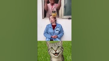 give this video a title (wrong answers only) #cat #meme #dance #trending #tiktok......