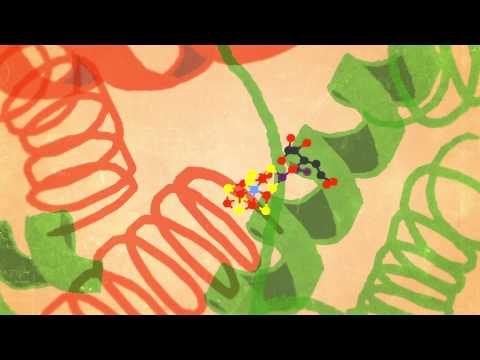 The Secrets of Nitrogenase
