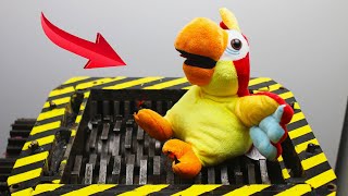 Experiment Shredding Parrot by The Crusher 8,008 views 1 year ago 12 minutes, 51 seconds