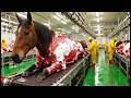 Secret Horse Leather Factory | How Premium Horse Leather Is Made | Mega Scale Production