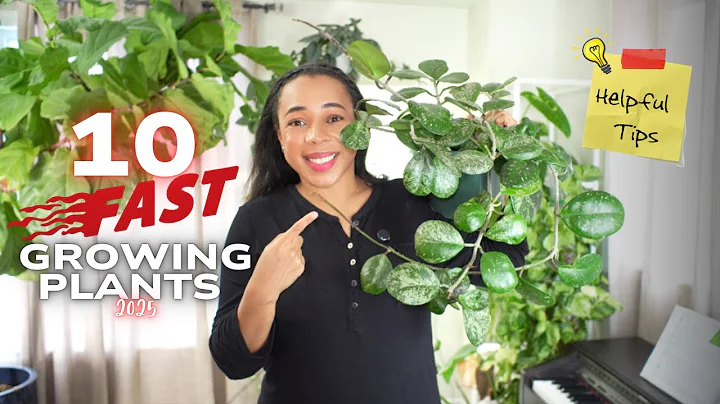 ⚡The FASTEST Growing Houseplants of 2025 and How I Made Them Grow Even Faster⚡