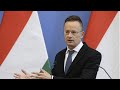 МЗС Угорщини закликало ОБСЄ направити місію на Закарпаття
