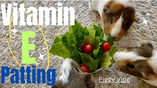 (Piggy Vlog) Vitamin E Patting! 20240321 EP44