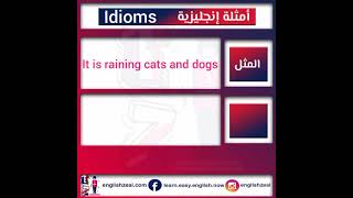 أمثلة إنجليزية - It is raining cats and dogs