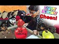 Cheeni Ka Birthday🎂 with Roxy Ke Puppies || Roxy cake Nahin kaatne De Rahi😭 || Review reloaded