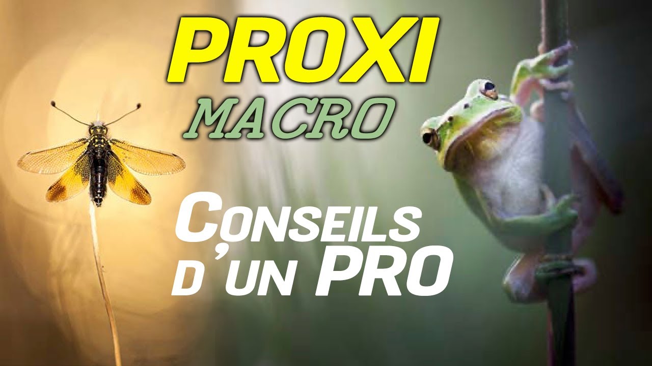 Photo MACRO  les SECRETS dun pro  avec Patrick GOUJON