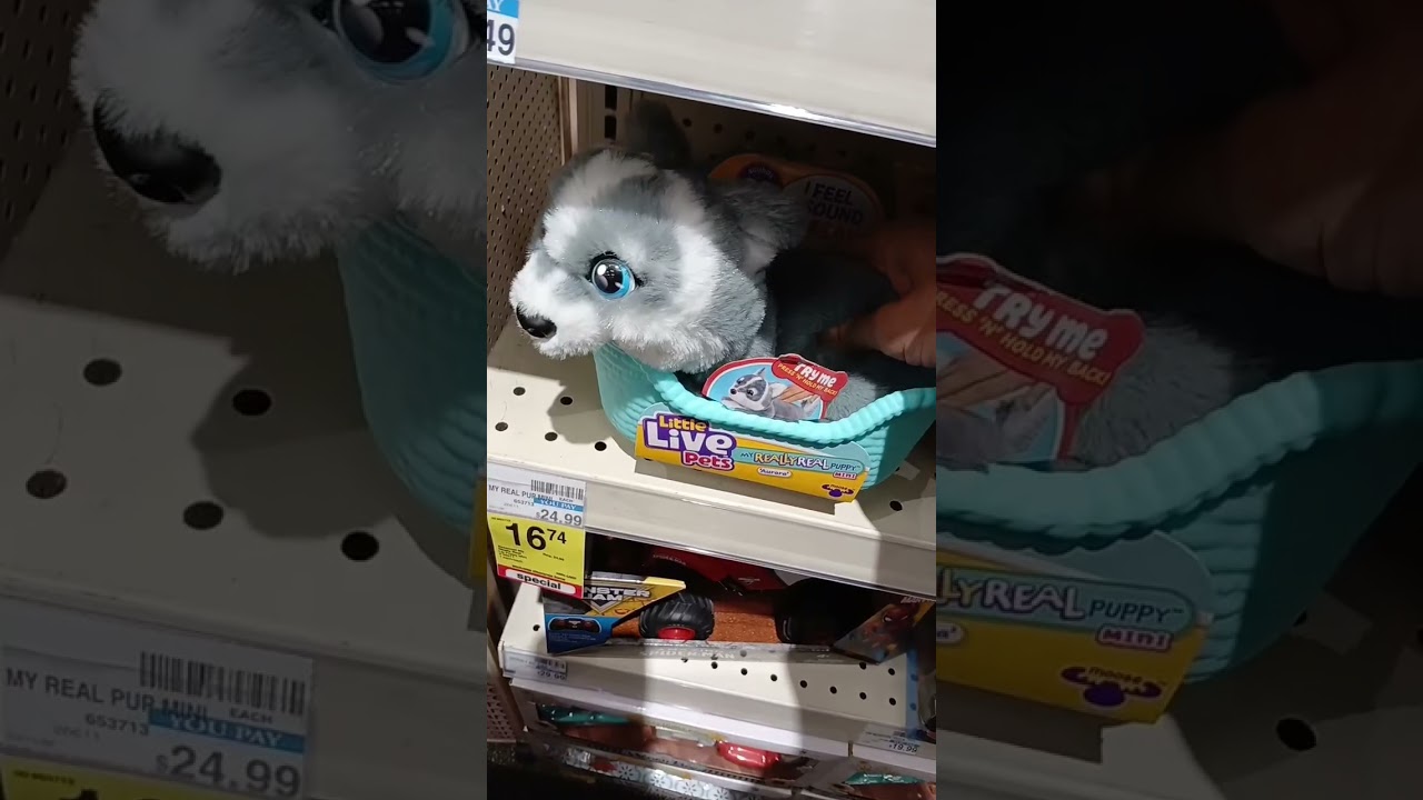 Little Live Pets. So cute!