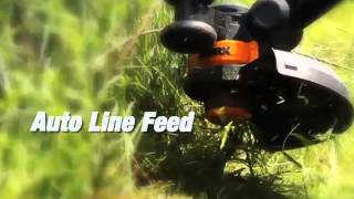 WORX WG155 20V MAX Cordless Lithium 10 Inch String Trimmer Edger