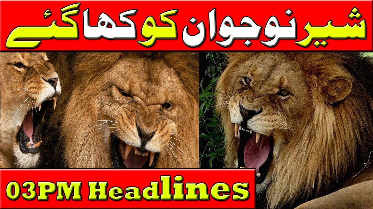 News Headlines | 03:00 PM | 26 Feb 2020 | Lahore Rang