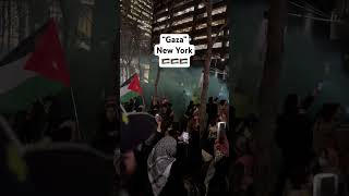 🇵🇸 Pro Palestinian Protest New York