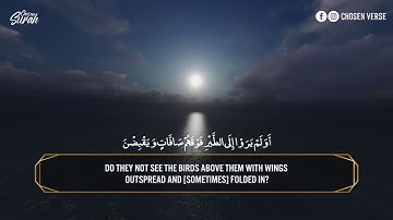 Surah Al Mulk Sherif Mustafa   القارئ شريف مصطفي سورة الملك   راحه وسكينة