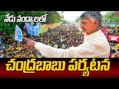 నేడు నంద్యాలలో చంద్రబాబు పర్యటన Chandrababu Election Campaign In Nandyla | TV5 News - TV5NEWS