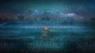Signal Fields - Declaration (Original Mix)