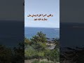 المماطلة في سداد الديون سدد دينك