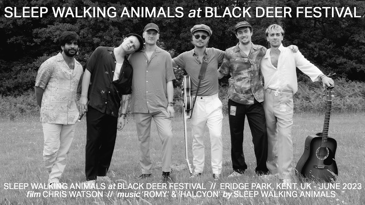 Black Deer Festival 2023 - Sleep Walking Animals Vlog